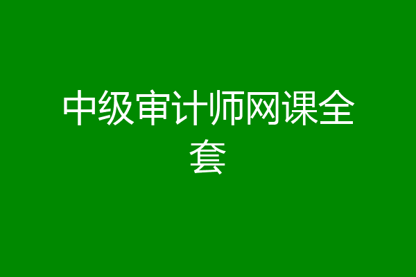 中级审计师网课全套