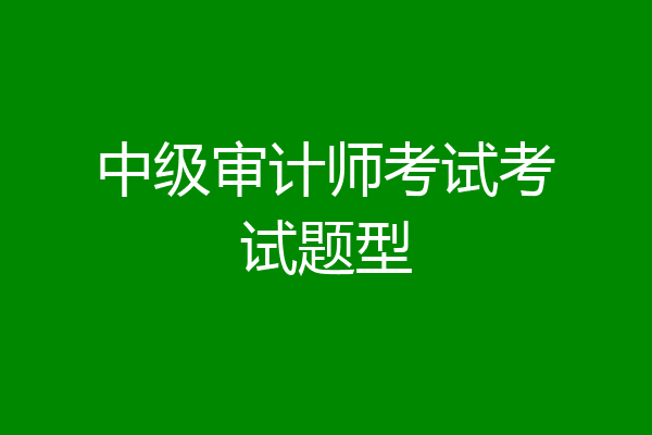 中级审计师考试考试题型