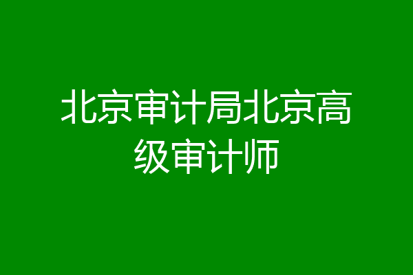 北京审计局北京高级审计师