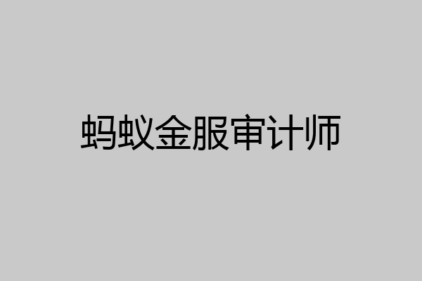 蚂蚁金服审计师