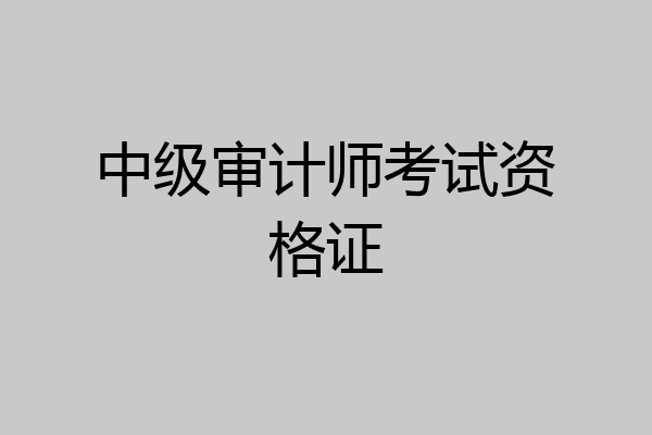 中级审计师考试资格证