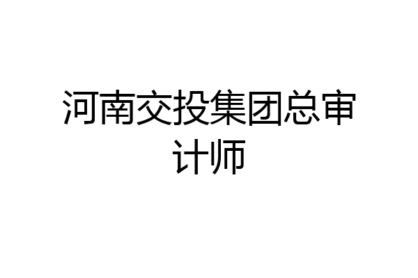 河南交投集团总审计师