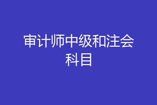 审计师中级和注会科目