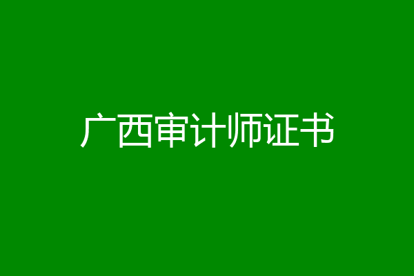 广西审计师证书