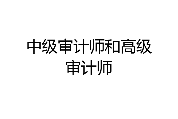 中级审计师和高级审计师