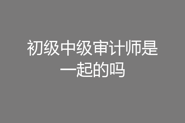 初级中级审计师是一起的吗