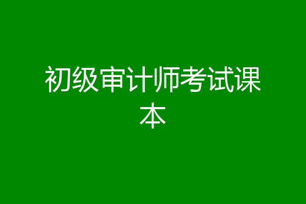 初级审计师考试课本
