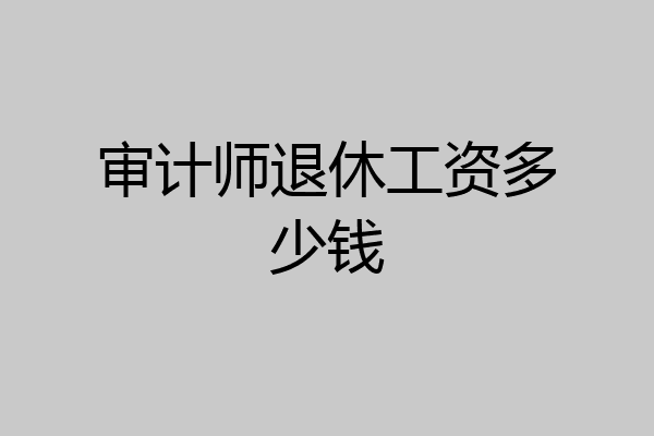 审计师退休工资多少钱