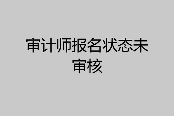 审计师报名状态未审核