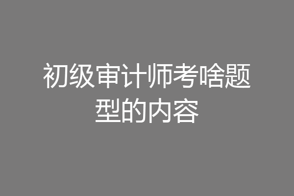 初级审计师考啥题型的内容