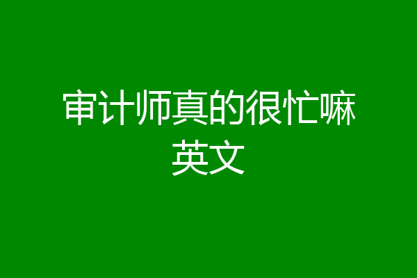 审计师真的很忙嘛英文