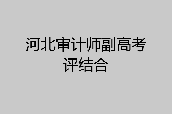 河北审计师副高考评结合