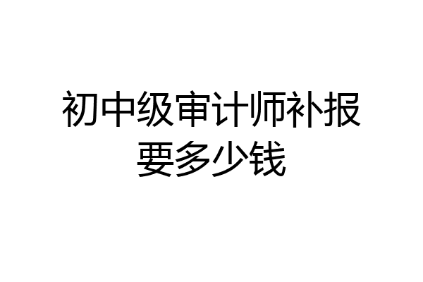 初中级审计师补报要多少钱