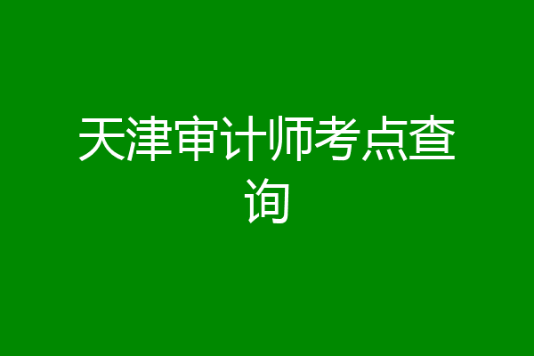 天津审计师考点查询