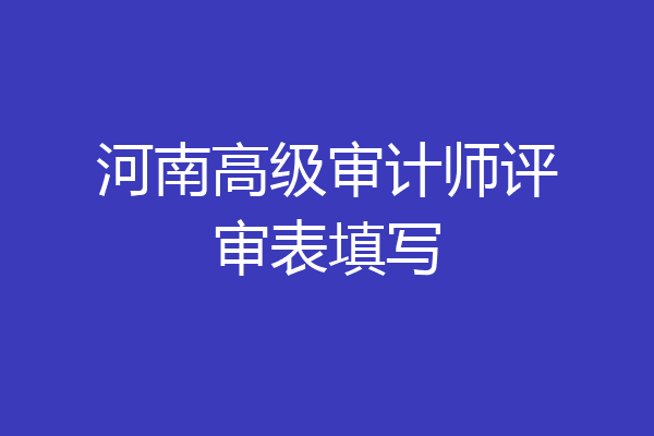 河南高级审计师评审表填写
