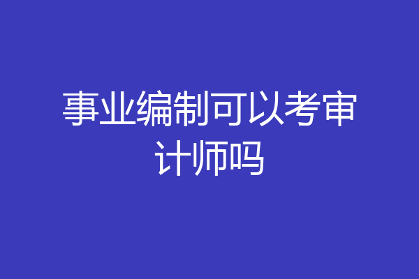 事业编制可以考审计师吗
