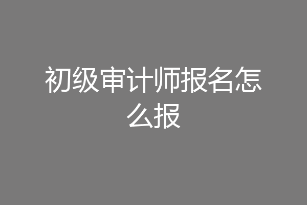 初级审计师报名怎么报