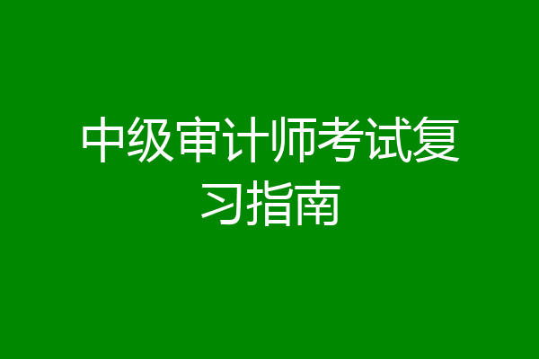 中级审计师考试复习指南
