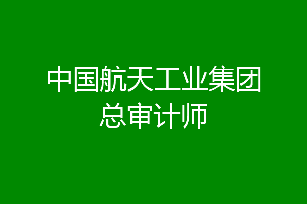 中国航天工业集团总审计师
