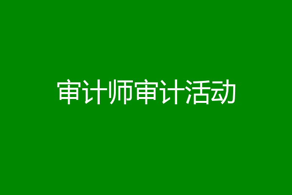 审计师审计活动
