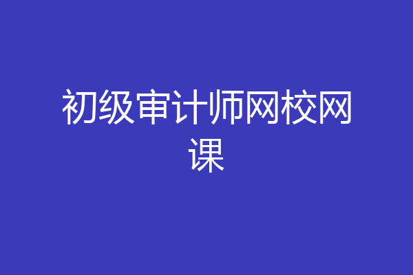 初级审计师网校网课