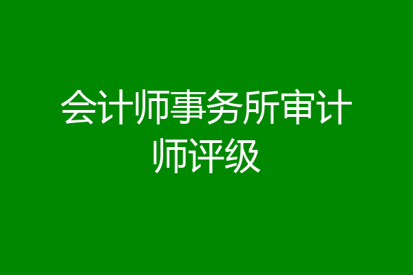 会计师事务所审计师评级