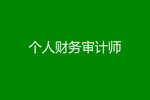 个人财务审计师