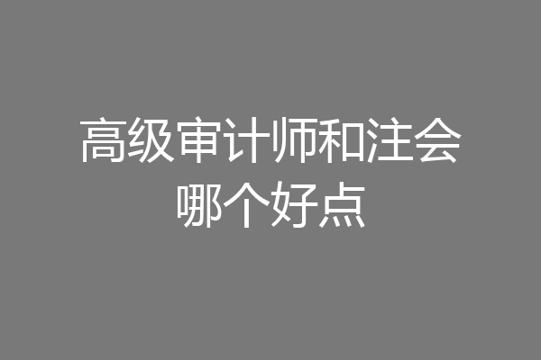 高级审计师和注会哪个好点