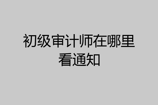 初级审计师在哪里看通知