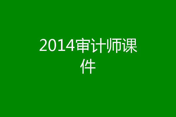 2014审计师课件