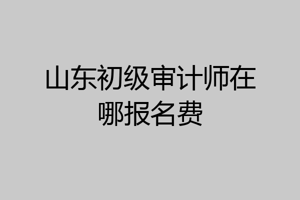 山东初级审计师在哪报名费