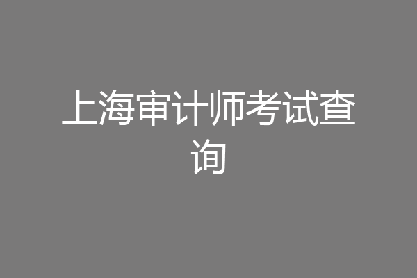 上海审计师考试查询