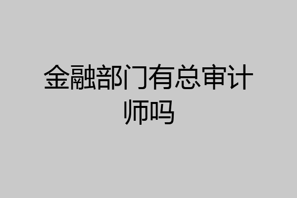 金融部门有总审计师吗