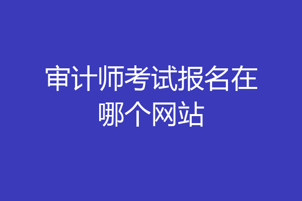 审计师考试报名在哪个网站