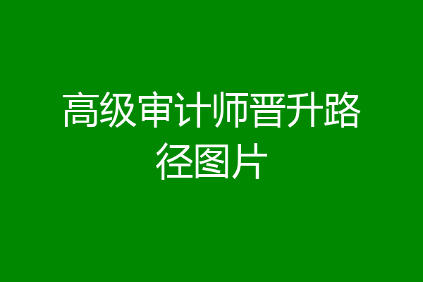 高级审计师晋升路径图片