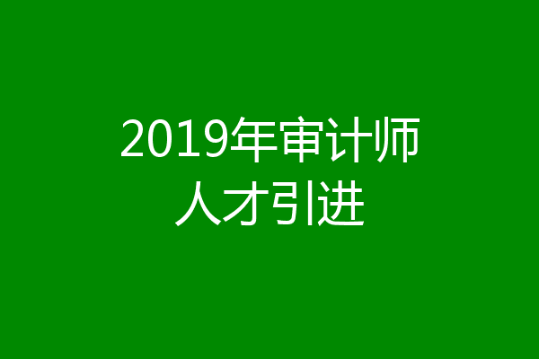 2019年审计师人才引进