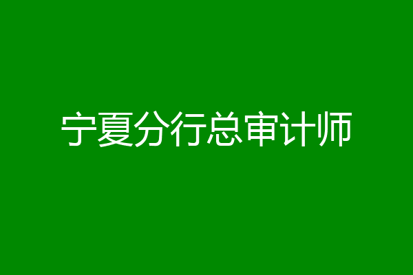 宁夏分行总审计师