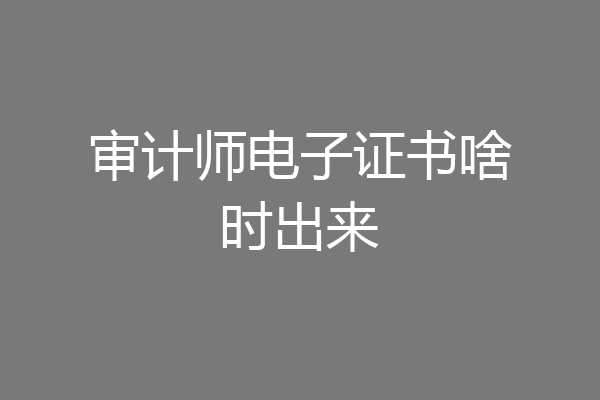 审计师电子证书啥时出来
