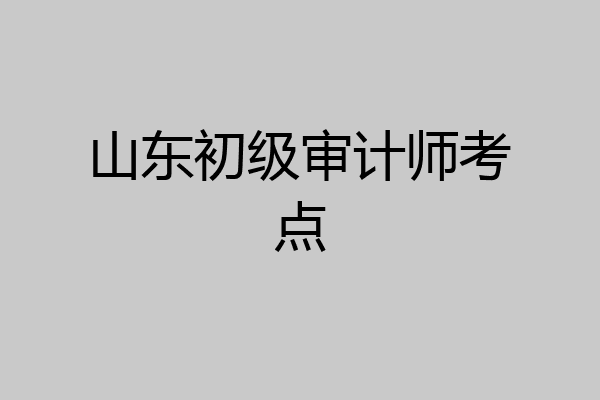 山东初级审计师考点