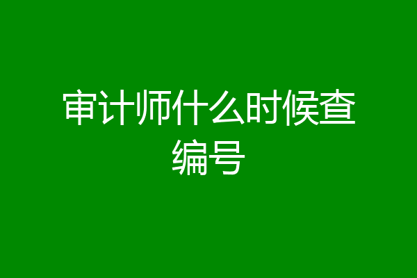 审计师什么时候查编号