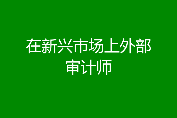 在新兴市场上外部审计师