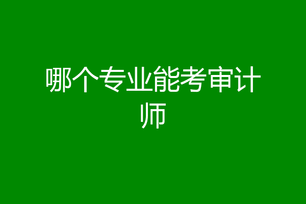 哪个专业能考审计师