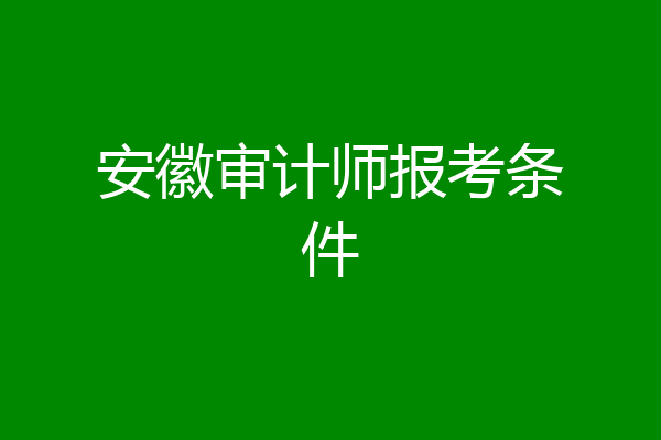 安徽审计师报考条件