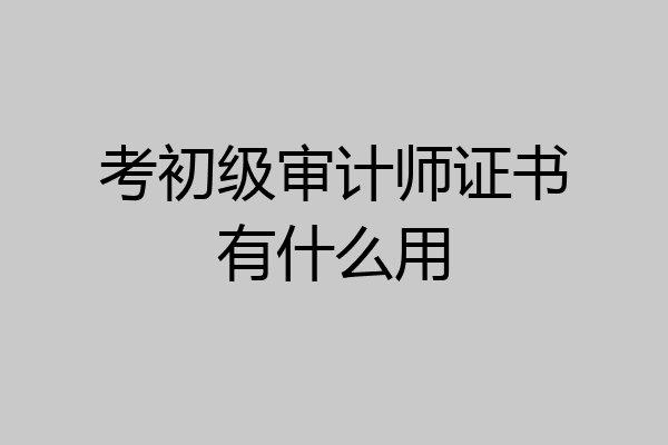 考初级审计师证书有什么用