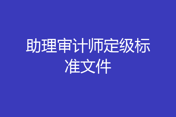 助理审计师定级标准文件
