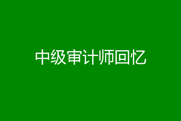 中级审计师回忆