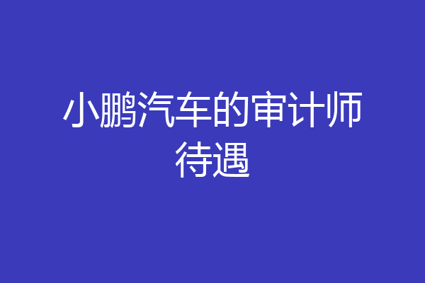 小鹏汽车的审计师待遇