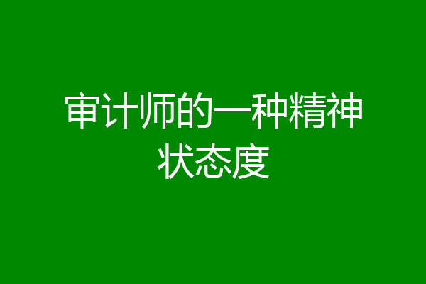 审计师的一种精神状态度