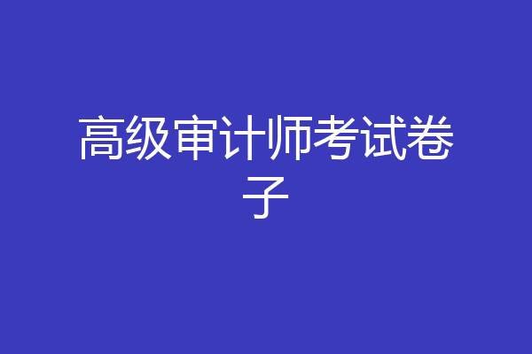 高级审计师考试卷子