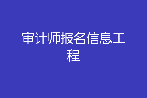 审计师报名信息工程